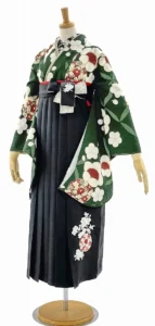 卒業式　袴　ネットレンタル　新作　大正レトロ　かわいい　和柄　大人っぽい　上品な　大学卒業式　人気