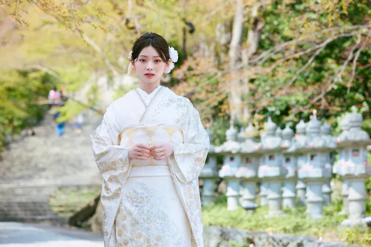 成人式　振袖　ネットレンタル　古典柄