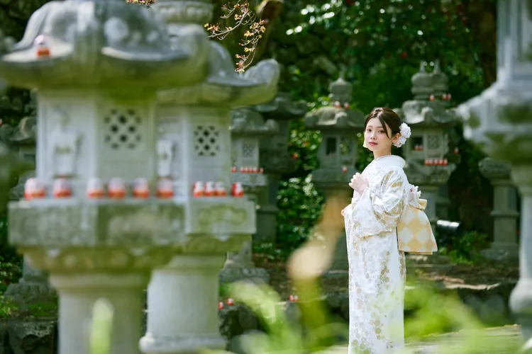 成人式　振袖　ネットレンタル　古典柄