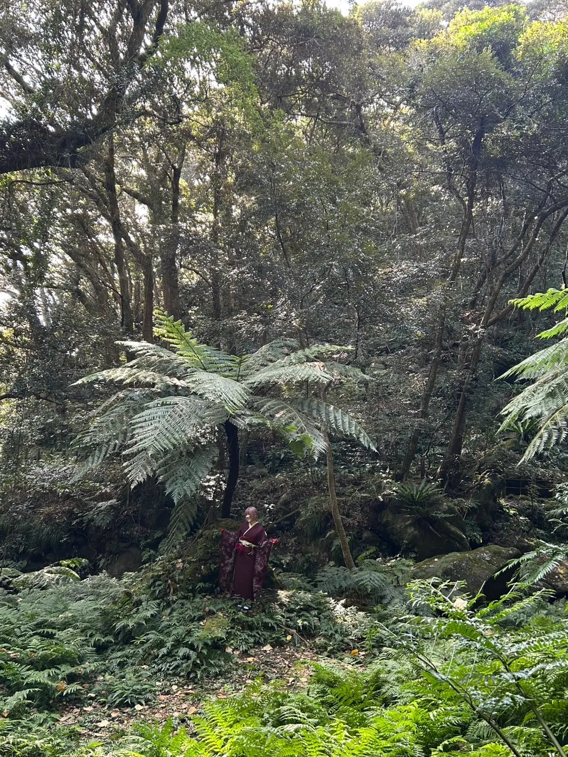 大自然の中によく合いました。