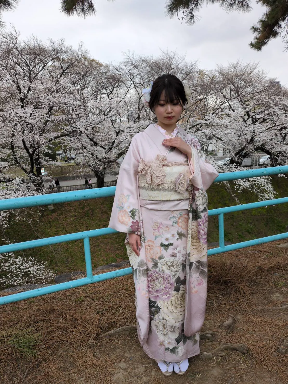 桜咲く名古屋城で素敵な写真を撮っていただきました。