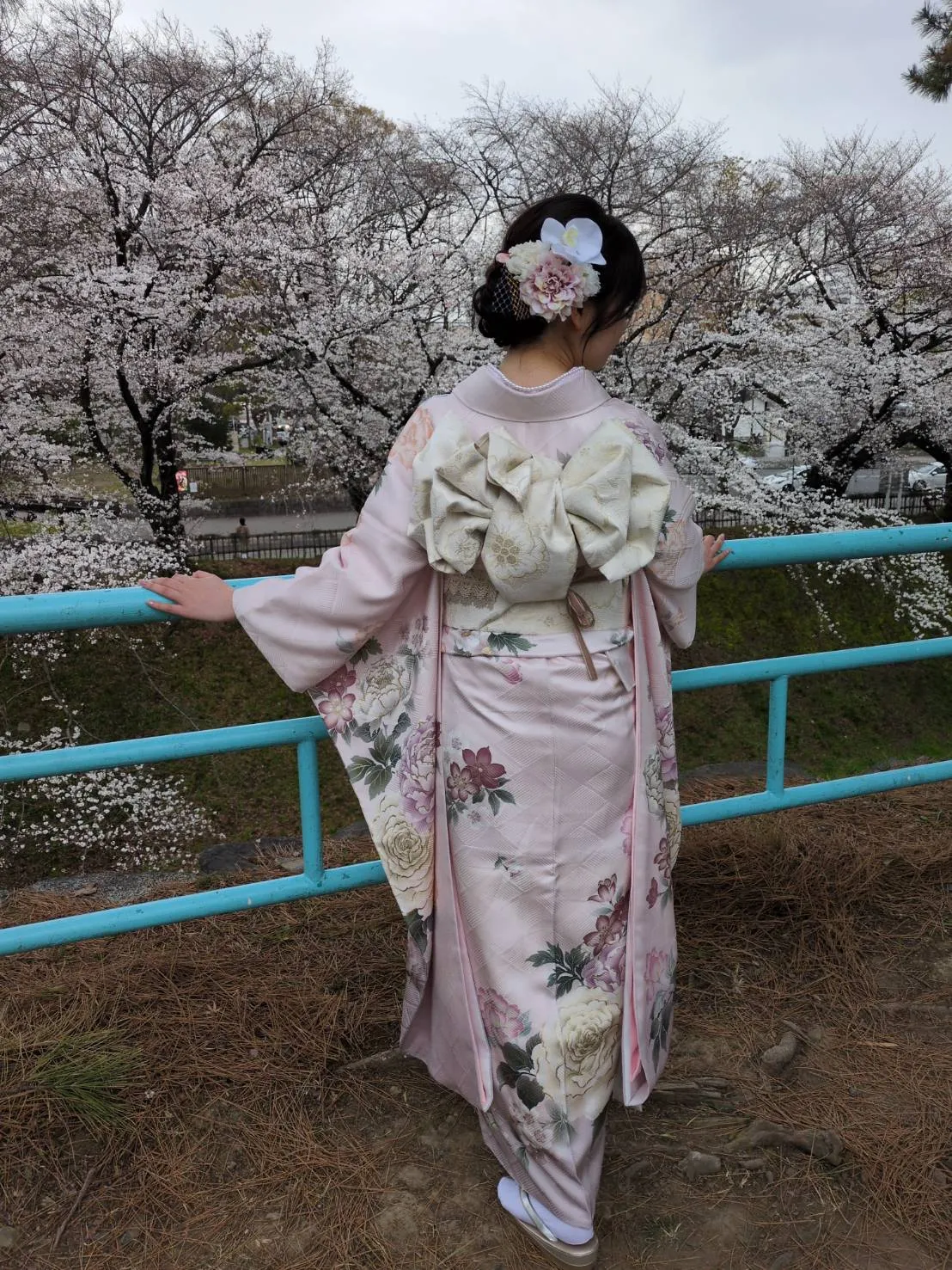 素敵な写真が撮れました✨