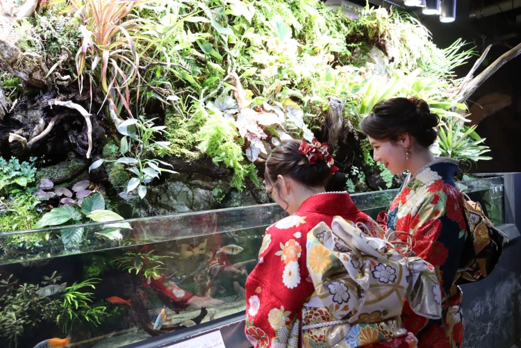 成人式振袖ネットレンタル　フリソデドール　撮影　前撮り　水族館